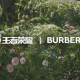 Burberry-Tencent